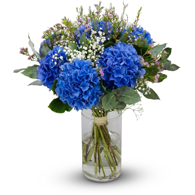 Bouquet of hydrangeas